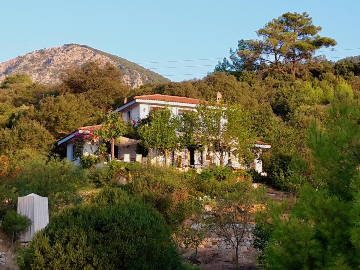 The Lazy Olive Private And Natural Pool Near Antique Olympos * Kumluca